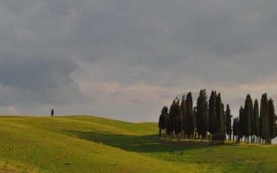 Dal mare alle Colline / Corso di avvicinamento al vino italiano dal 6 maggio 2025, il martedì h 19,30