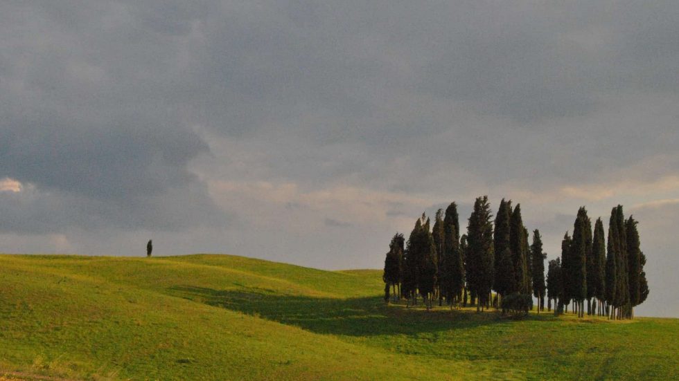 Dal mare alle Colline / Corso di avvicinamento al vino italiano dal 6 maggio 2025, il martedì h 19,30